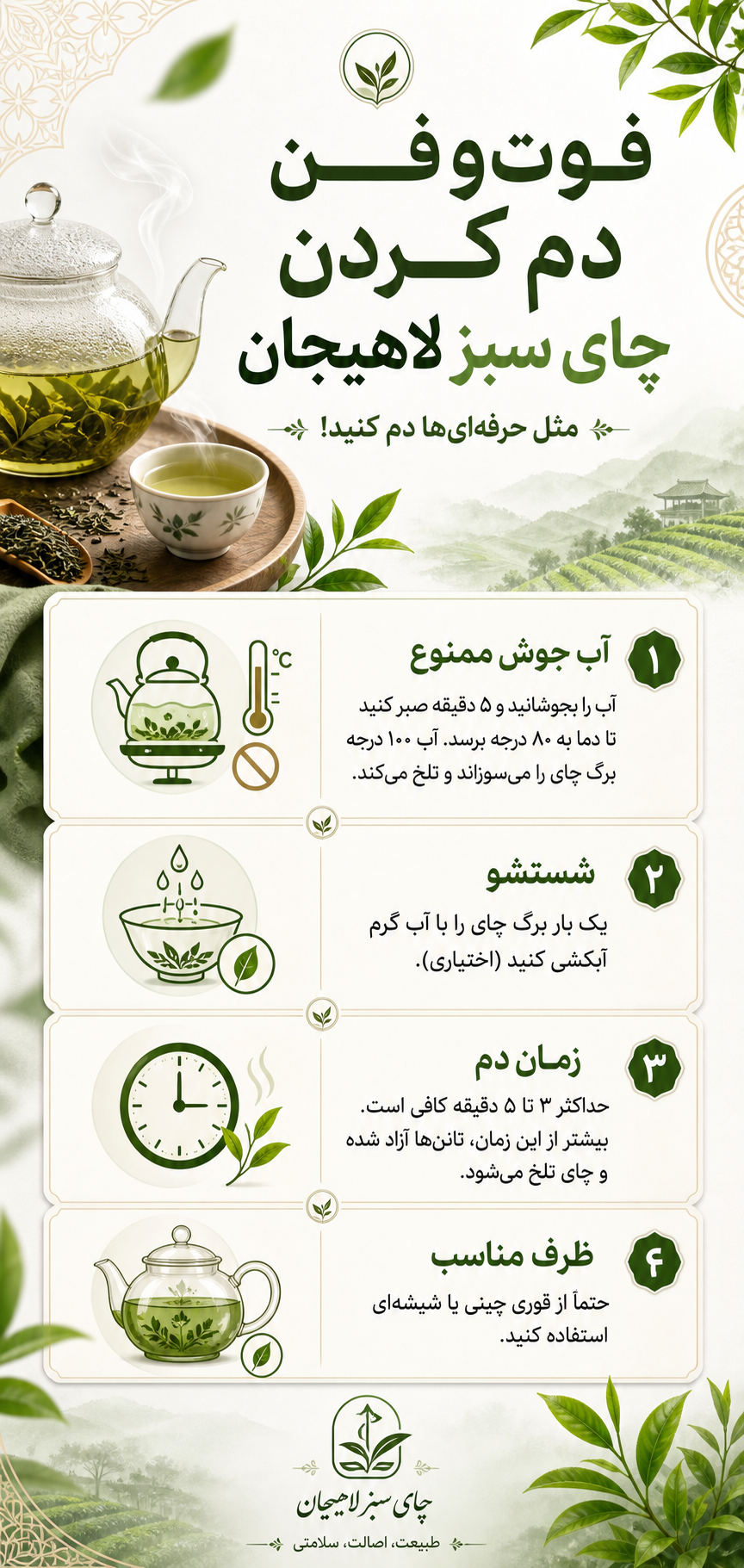راهنما دم کردن چای سبز